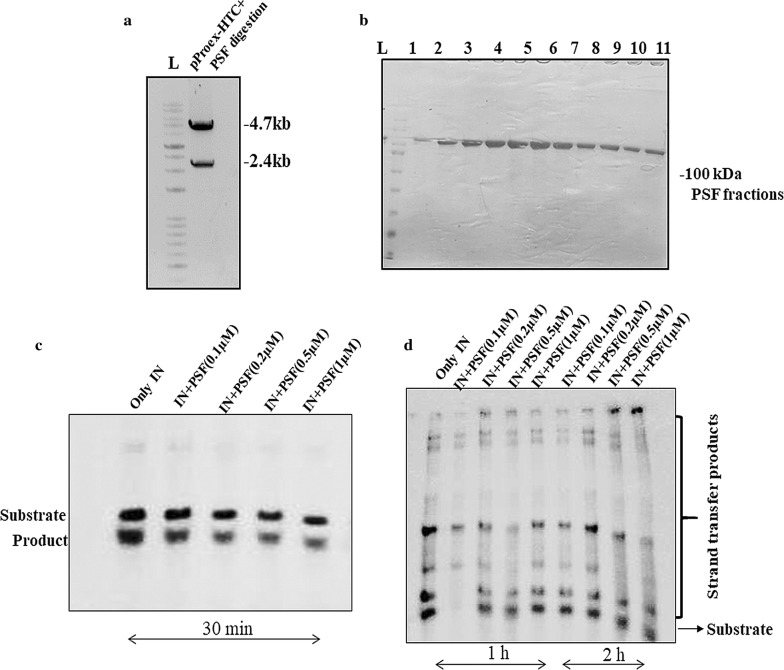 Fig. 3