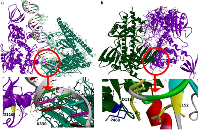 Fig. 7