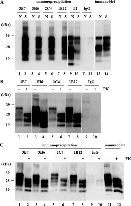 FIGURE 1.