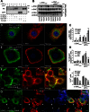 FIGURE 11.