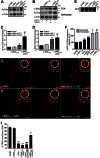 FIGURE 10.