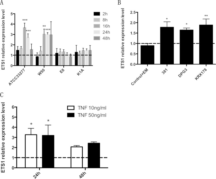 FIG 4