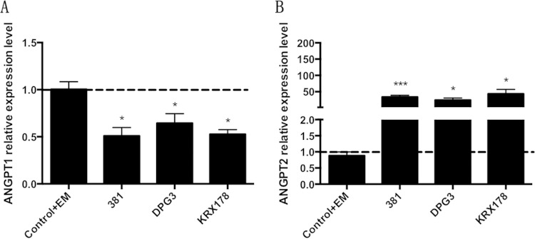 FIG 2