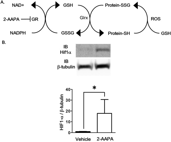 Fig. S1.