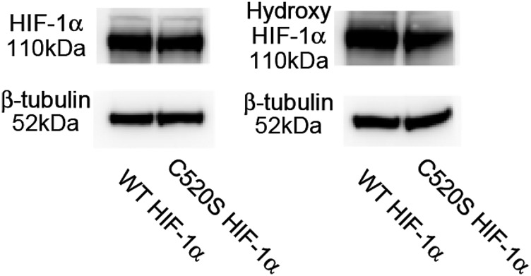 Fig. S3.