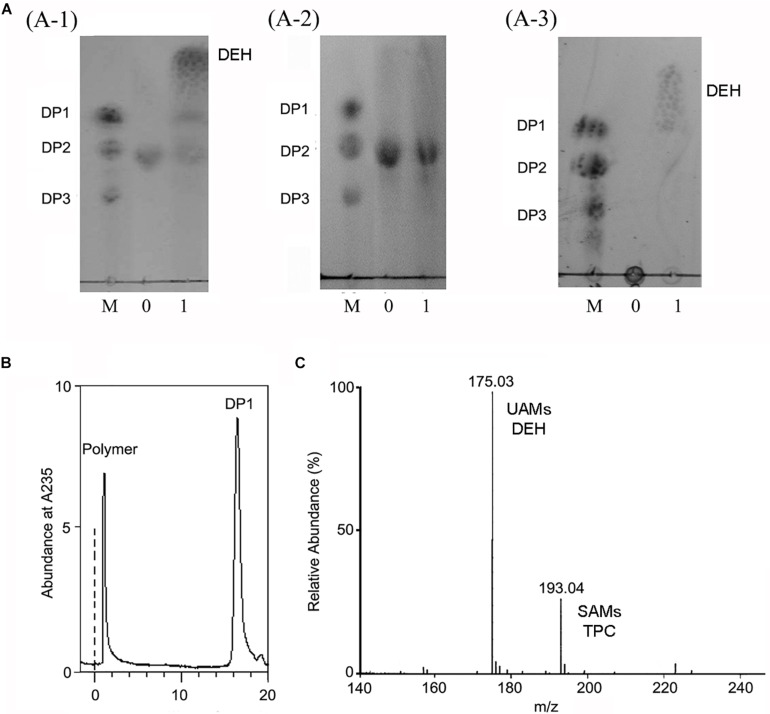 FIGURE 6