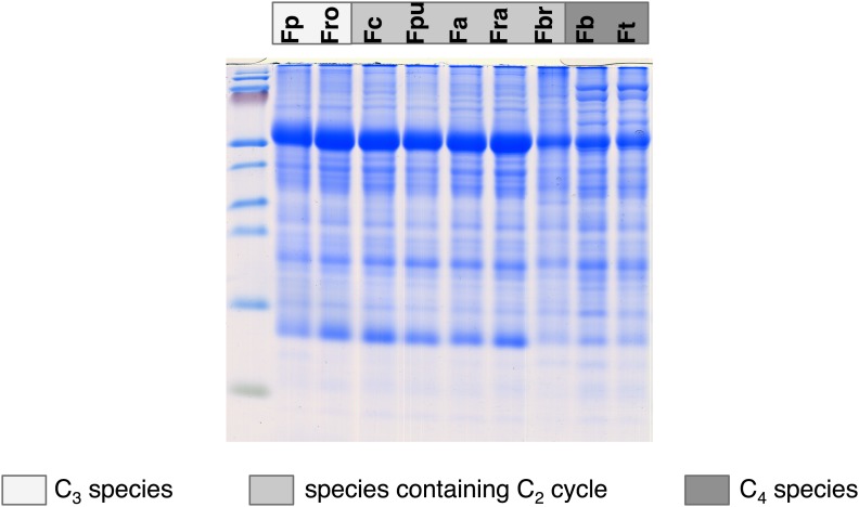 Figure 3—figure supplement 1.