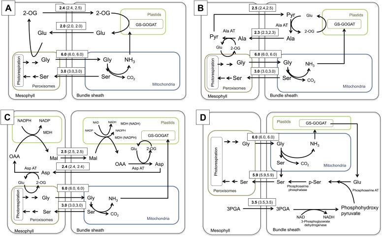 Figure 4.