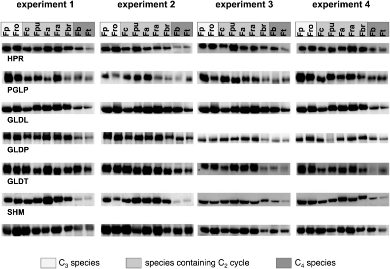 Figure 3—figure supplement 2.