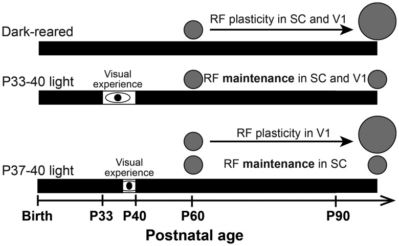 Figure 11.