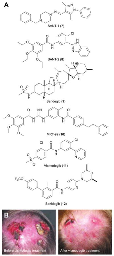 Fig. 4