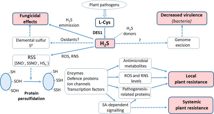 Fig. 2