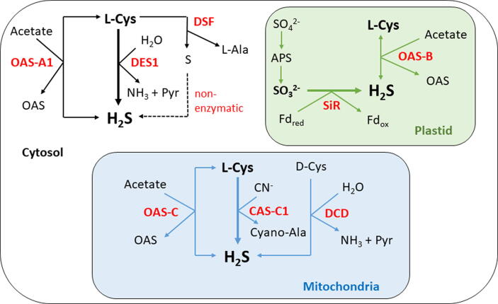 Fig. 1