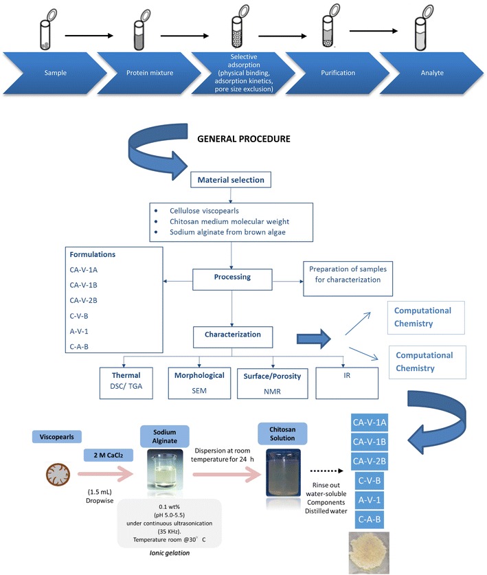 Graphical abstract