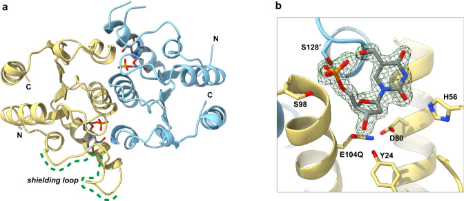 Fig. 2