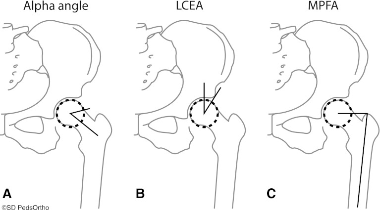 Fig. 3A–C