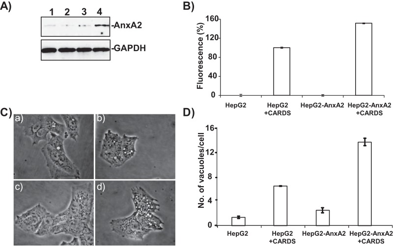 FIG 6 