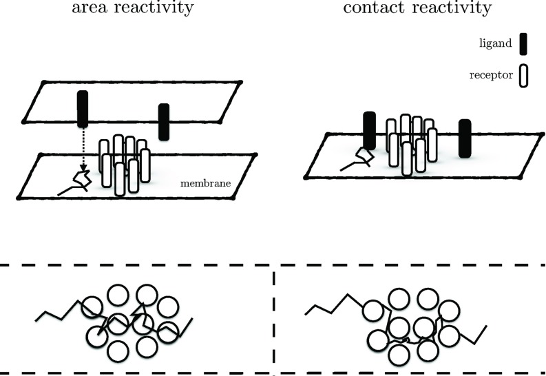 FIG. 1.