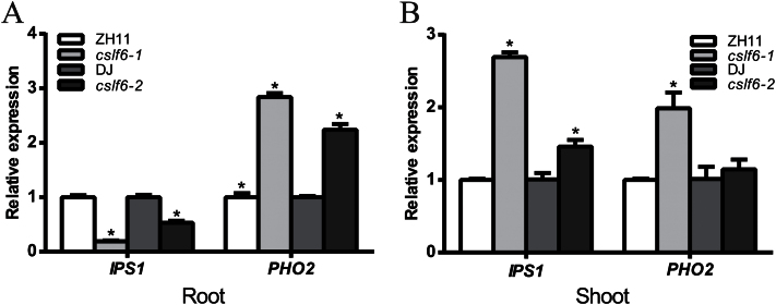 Fig. 6.