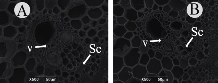 Fig. 8.