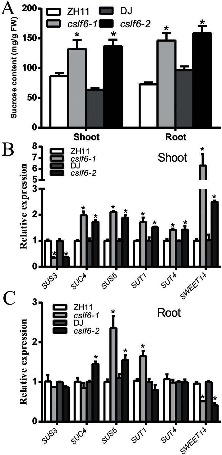 Fig. 7.