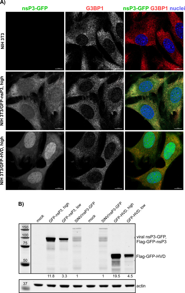 Fig 10