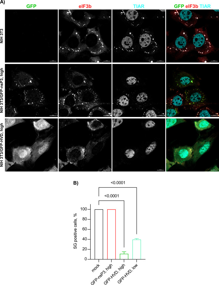 Fig 11