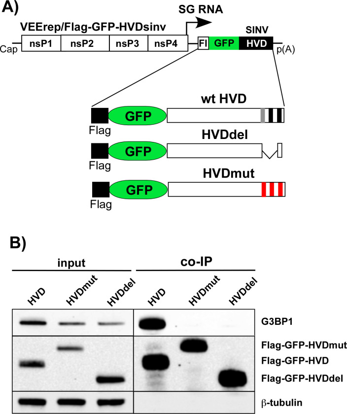 Fig 5