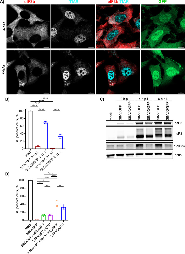 Fig 13