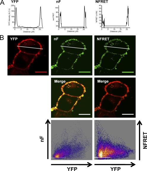 Figure 12.