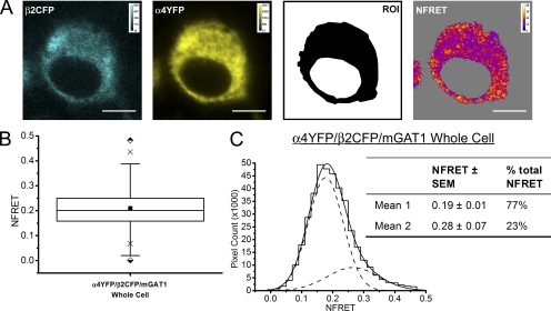 Figure 15.