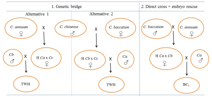 Fig 8