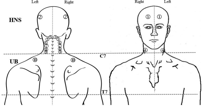 Fig. 1.