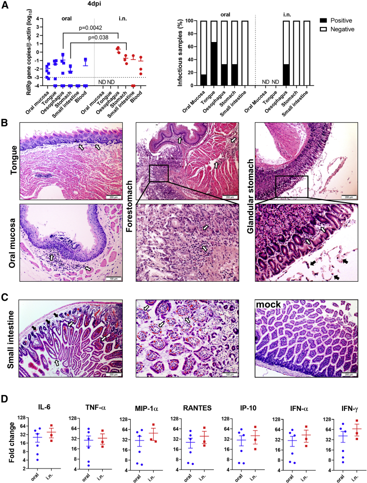 Figure 3