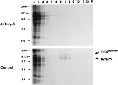 FIG. 5