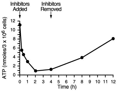 FIG. 1