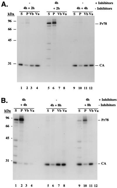 FIG. 4