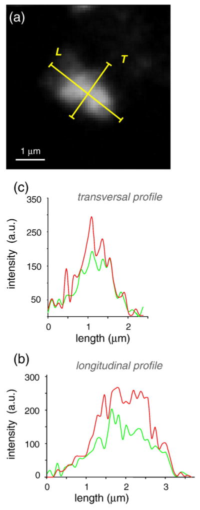 Fig. 11