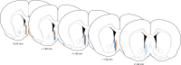 Figure 5—figure supplement 1.