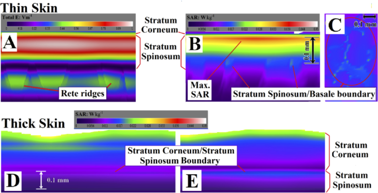 Fig. 3.