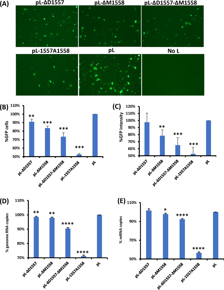 FIG 2