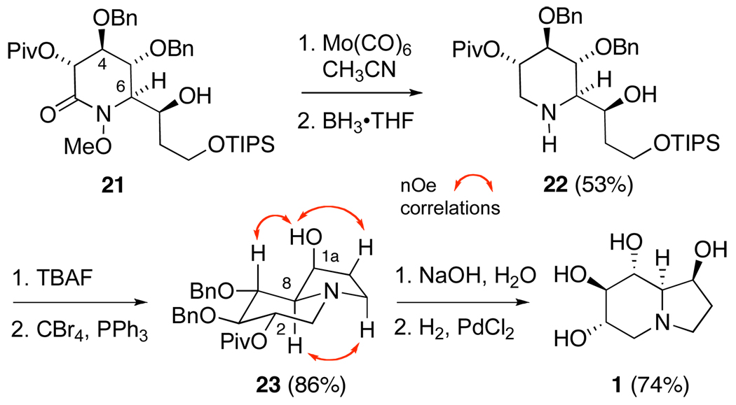 Scheme 4