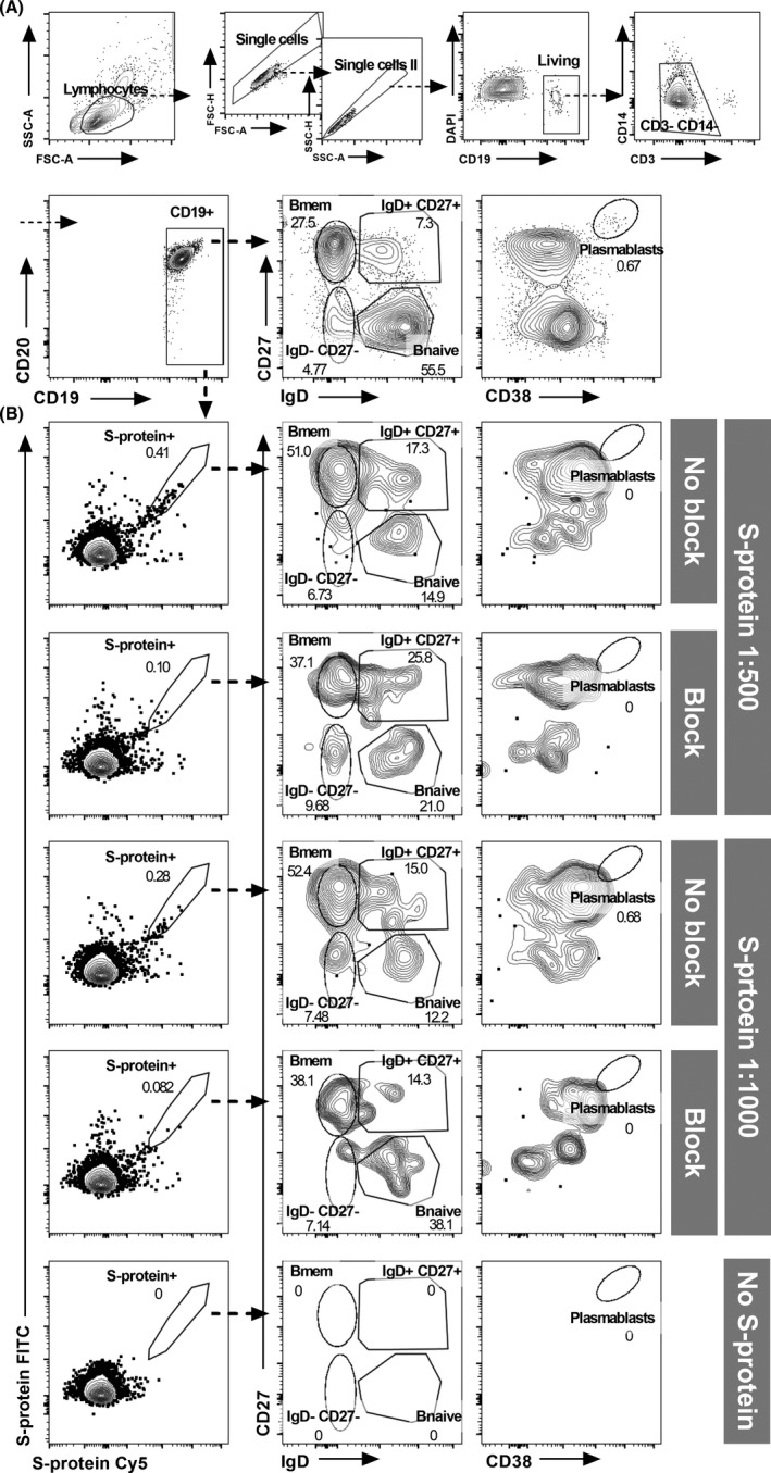 FIGURE 1