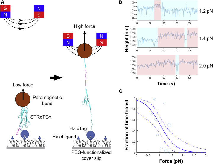 Figure 2