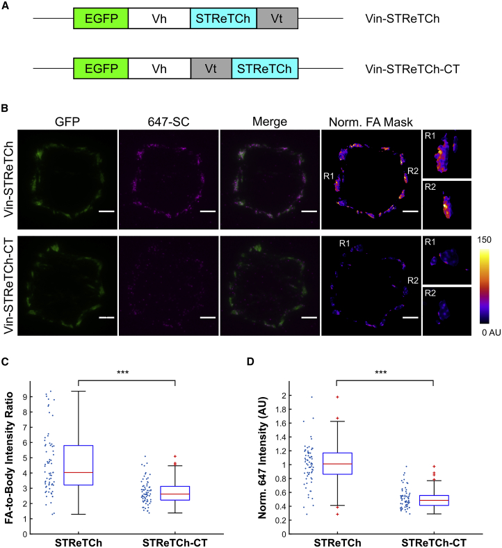 Figure 4