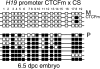 FIG. 8.