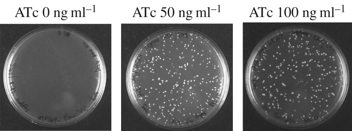 Figure 2.