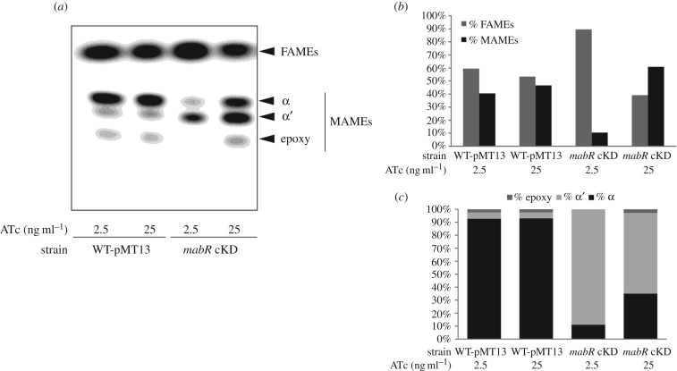 Figure 5.