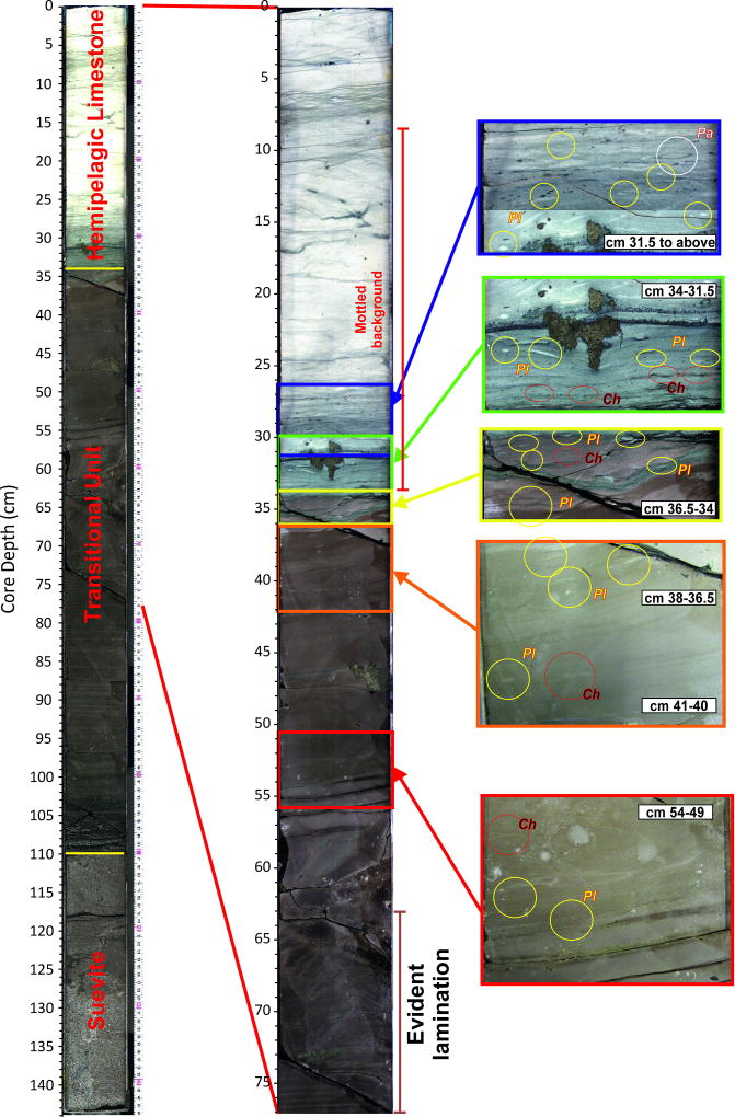 Extended Data Figure 2