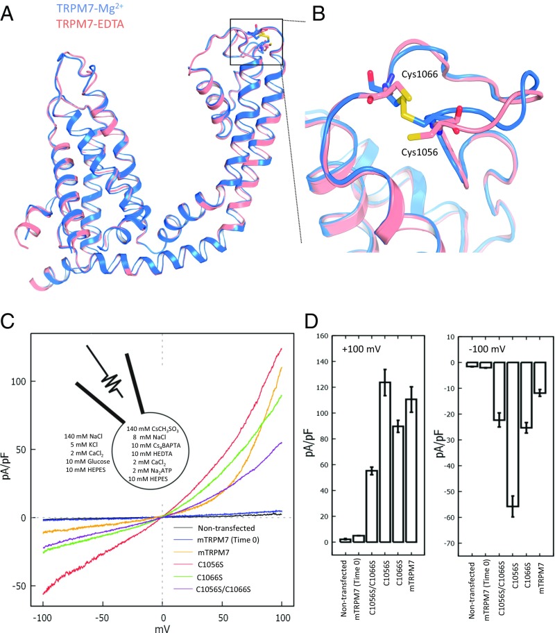 Fig. 6.